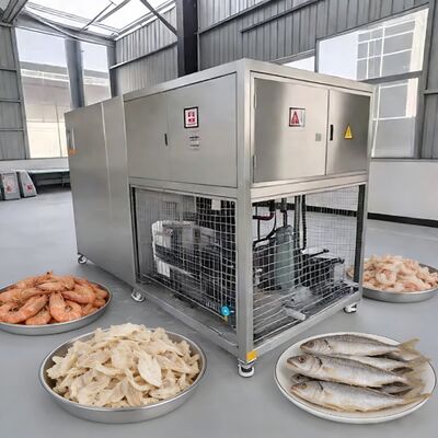 Lyophilisateur alimentaire sous vide par lots de 100 kg avec pompe à vide Baosi ou , température de lyophilisation de moins 40 à 80 degrés Celsius