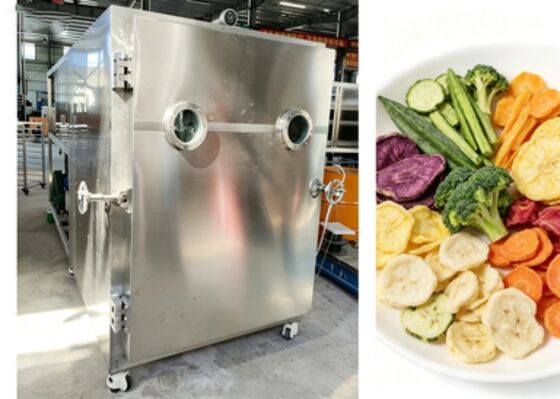 Lyophilisateur alimentaire sous vide 380V50HZ3PH, doté d'une construction robuste et d'un contrôle précis du vide pour un séchage optimal