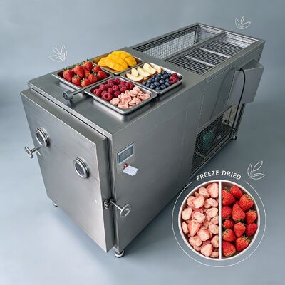 Machine de lyophilisation sous vide à système de contrôle PLC 220V380V3PH Idéale pour la lyophilisation de produits alimentaires et chimiques