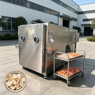 Taille du plateau 1280 600 30 mm Séche-glace pour légumes avec temps de séchage par congélation 18 à 22 heures Taille totale du lot 3800 1700 2000 mm
